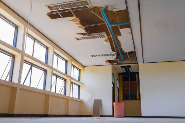 Best Flood damage cleanup  in Kendale Lakes, FL