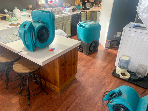 Best Commercial water damage restoration  in Kendale Lakes, FL