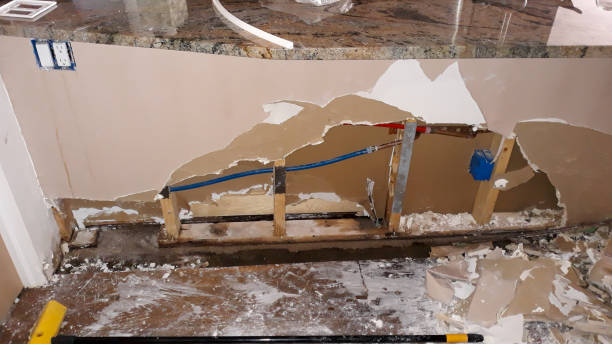 Best Local water damage restoration  in Kendale Lakes, FL