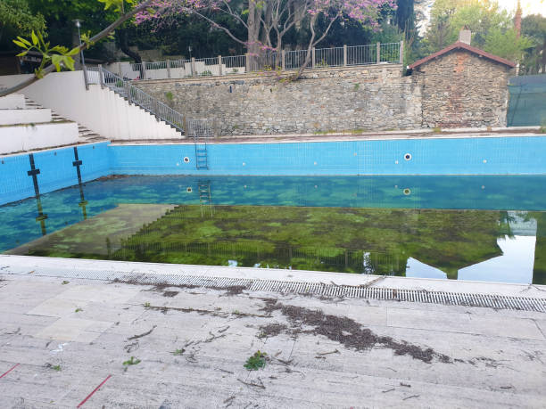 Best Sewage cleanup and water damage restoration  in Kendale Lakes, FL