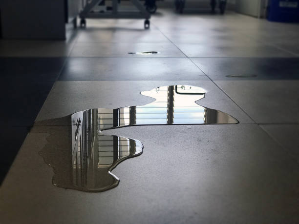 Best Water damage restoration experts  in Kendale Lakes, FL