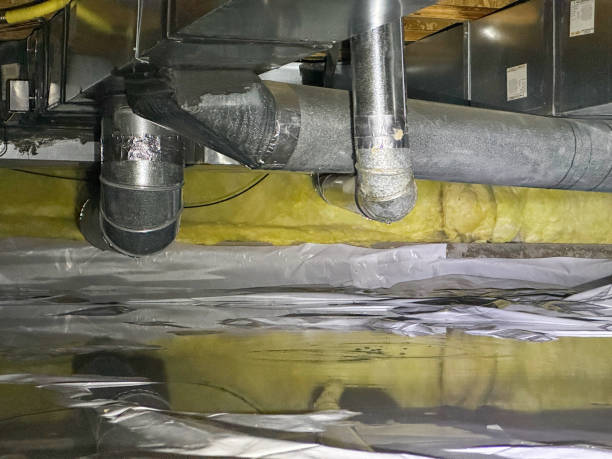 Best Basement water damage restoration  in Kendale Lakes, FL
