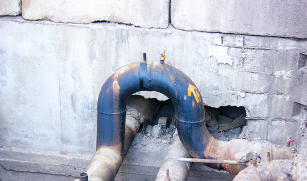 Best Ceiling water damage repair  in Kendale Lakes, FL