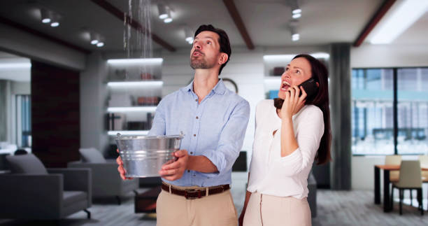 Best Water damage contractors near me  in Kendale Lakes, FL